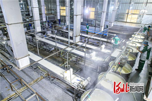 廊坊廣陽 機(jī)械化賦能農(nóng)產(chǎn)品深加工，量子計(jì)算技術(shù)助力京津菜籃子保供